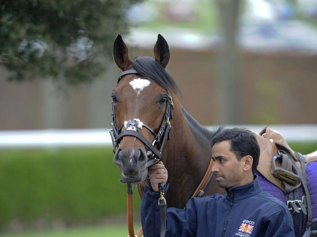 Frankel is officially the best racehorse in the world