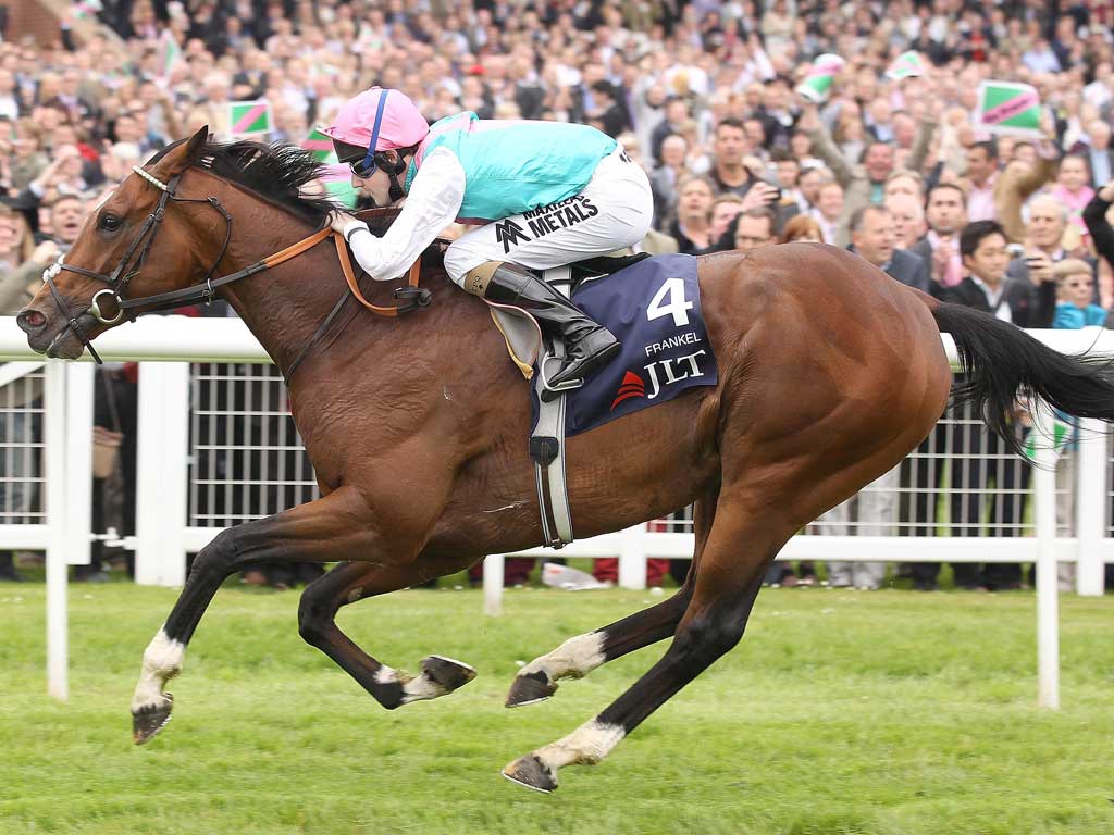 Bolting home: Frankel, Tom Queally aboard, is clear in the Lockinge Stakes at Newbury