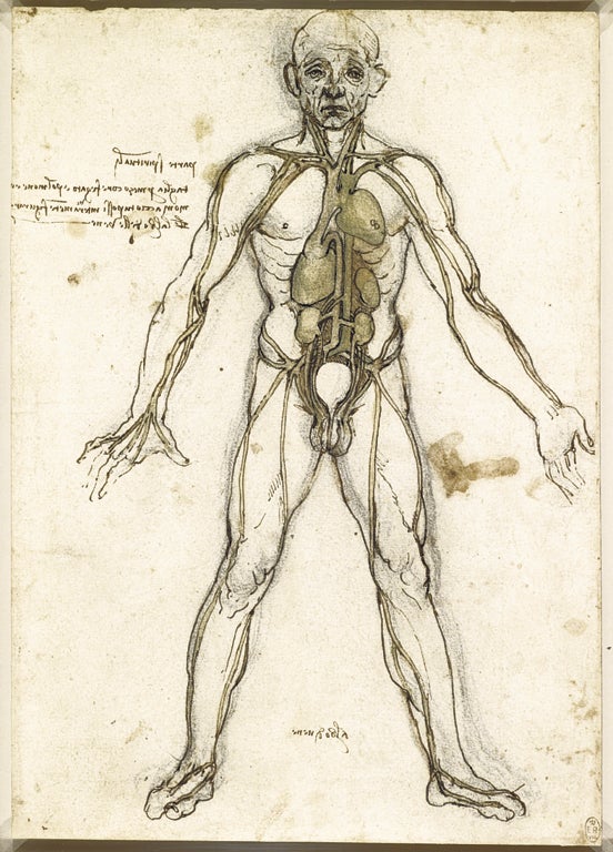 The body beautiful: ‘The Major Organs and Vessels’ (c1485-90)