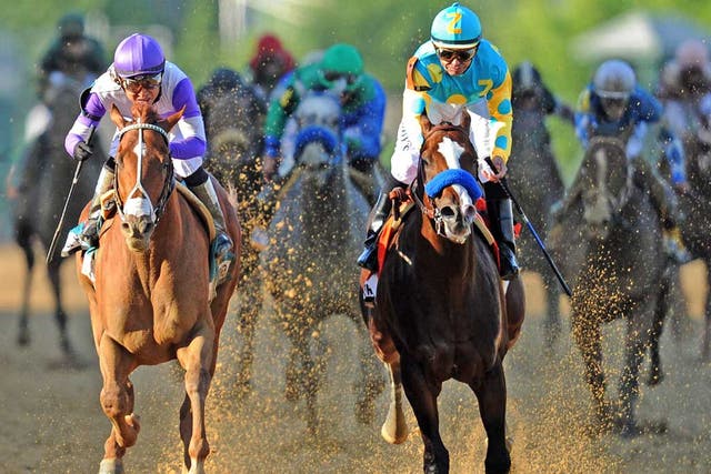 I’ll Have Another(left) collars Bodemeister to win the Preakness