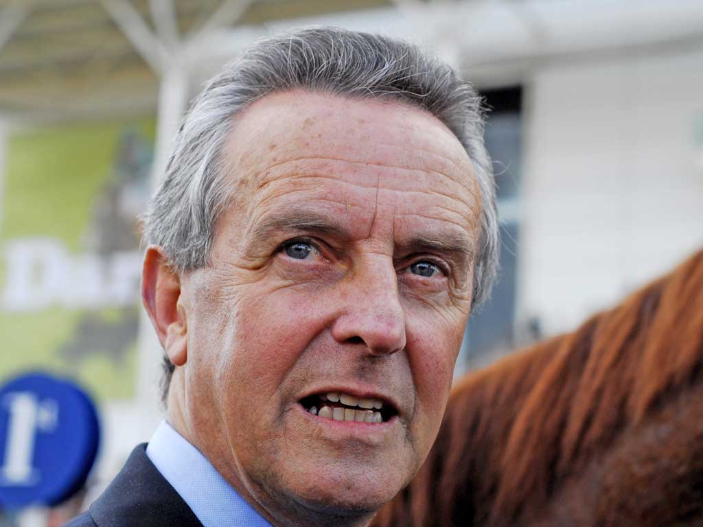 JIM BOLGER: The trainer plans to run Parish Hall in the Irish 2,000 Guineas just one week before a tilt at the Derby
