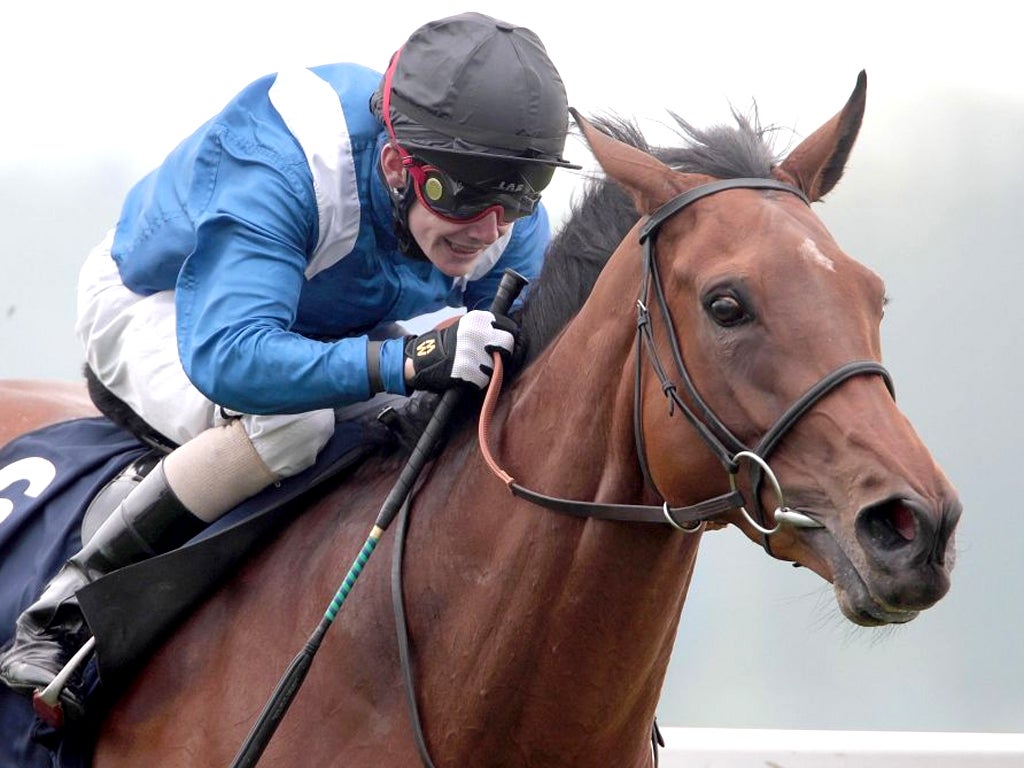Hawaafez, winner of the Aston Park Stakes at Newbury last weekend, is likely to go for the Ascot Gold Cup