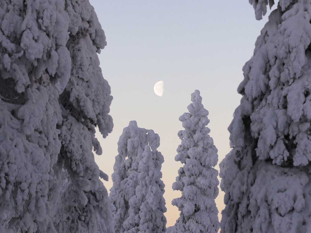 According to the recent UN World Happiness Report, Finland is actually the second-'happiest' country in the world