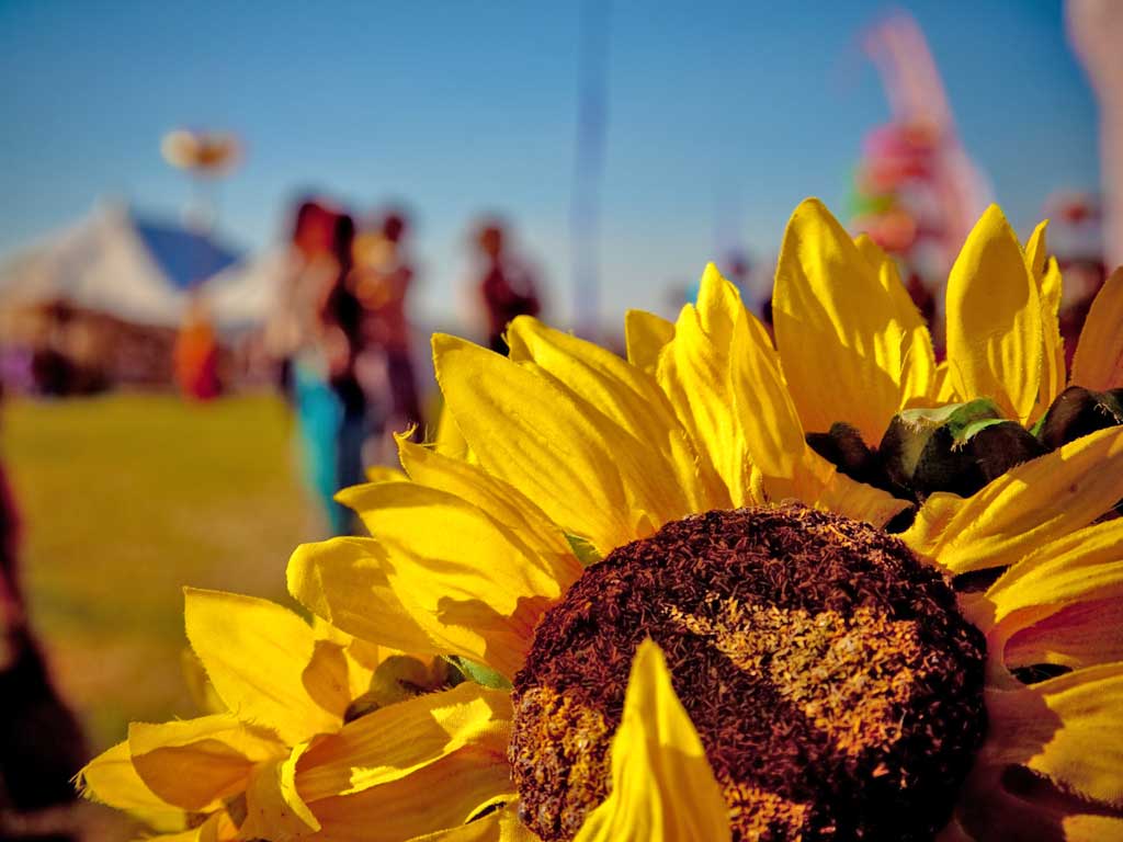 Festivals are striving to be as green and ethical as possible