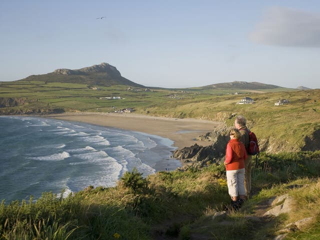 <p>The Dyfed Archaeological Trust say there is ‘still a significant amount of evidence left to excavate’</p>