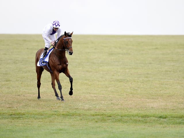 Parish Hall opens his three-year-old career today at the Curragh, his first start since his victory in the Dewhurst Stakes last October