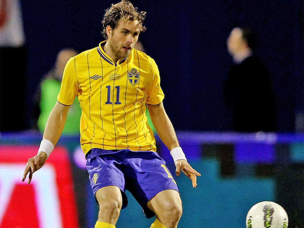 Sweden's Johan Elmander is recovering well from a foot injury