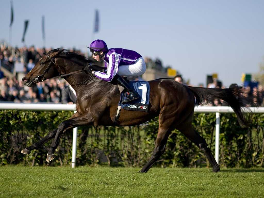 Camelot is likely to be the shortest Derby favourite since 1947