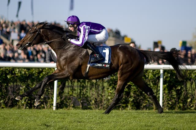 Camelot is likely to be the shortest Derby favourite since 1947