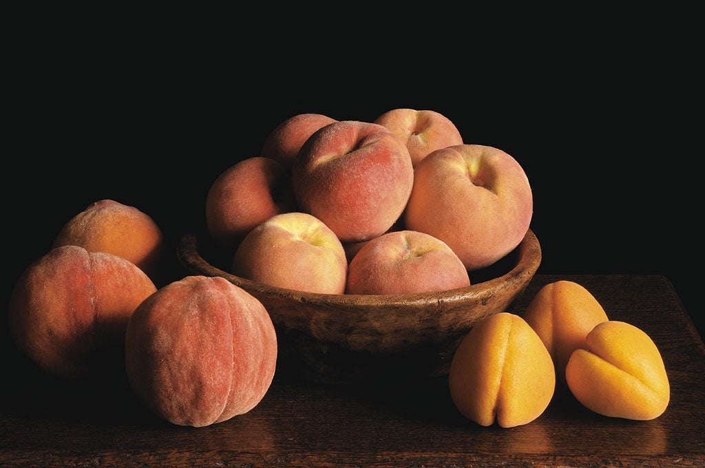 New Large Early apricots with Peregrine peaches