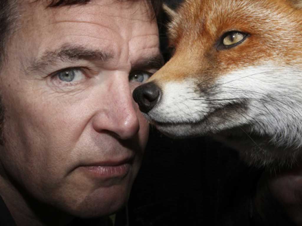 Channel 4's Foxes Live with Mark Evans has shown Britain's fondness for the urban fox