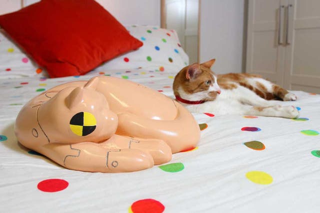 Sleeping partners: Ikea's 'crash test moggy' and live prototype crowd out the humans