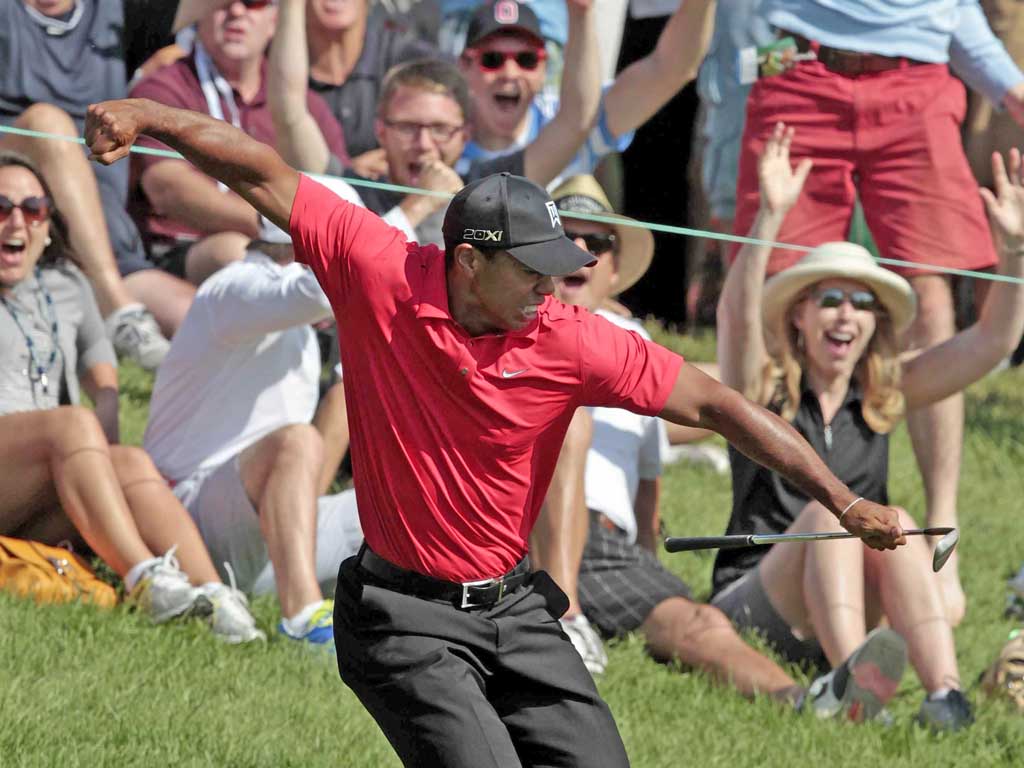 A delighted Tiger Woods reacts after chipping in for birdie on the 16th hole during his final round