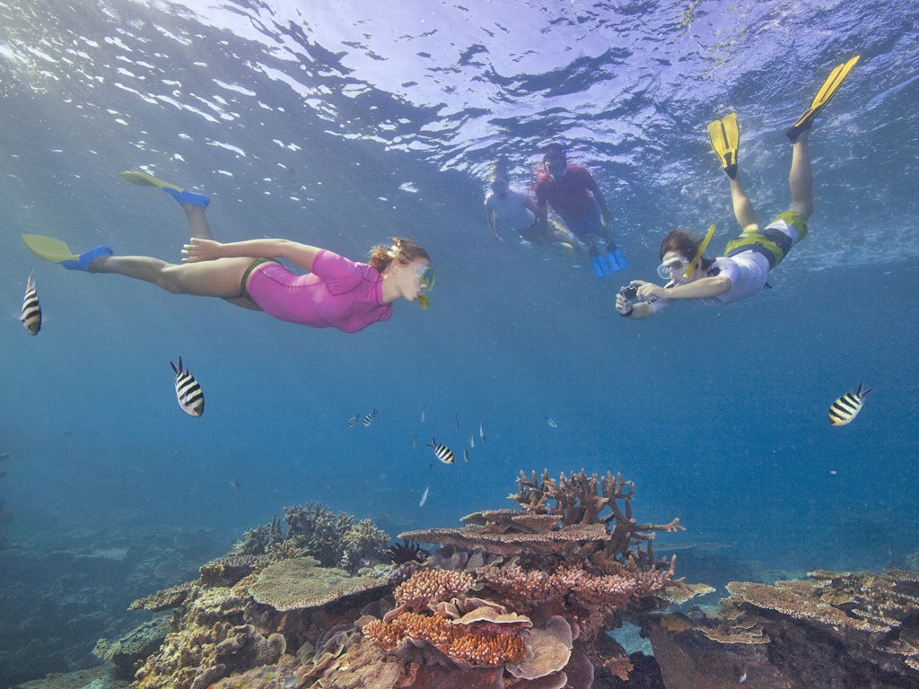 Austravel has a Sydney & the Great Barrier Reef package for £995pp. It includes Etihad flights from Heathrow via Abu Dhabi to Sydney on 7, 8 or 9 November, four nights at the Cambridge Hotel and five at the Cairns Colonial Club, internal flights included.