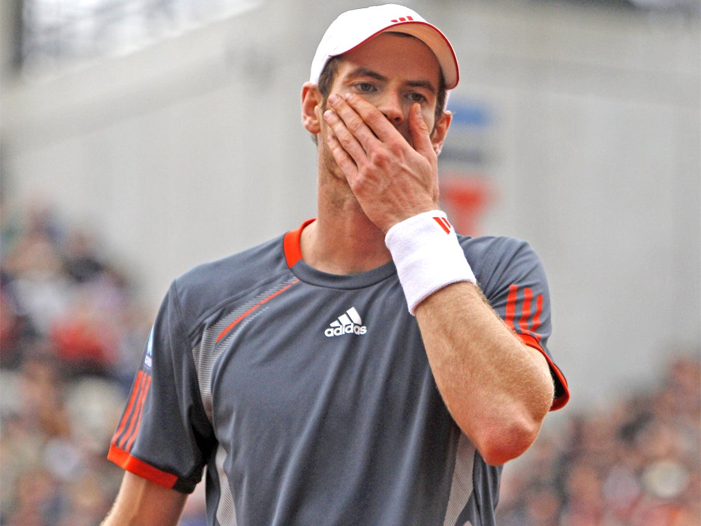 Andy Murray lost in four sets to David Ferrer