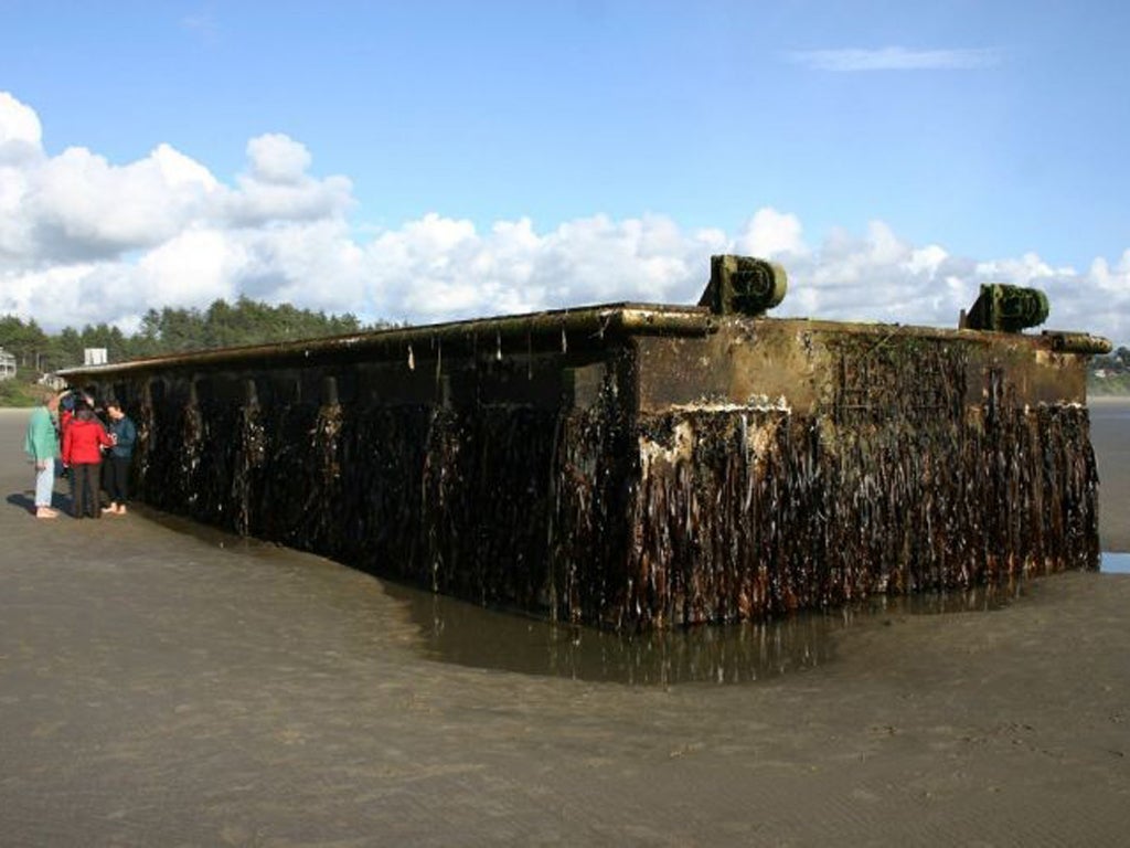 The origin of the huge dock was today confirmed by the Japanese consulate in Portland, Oregon.