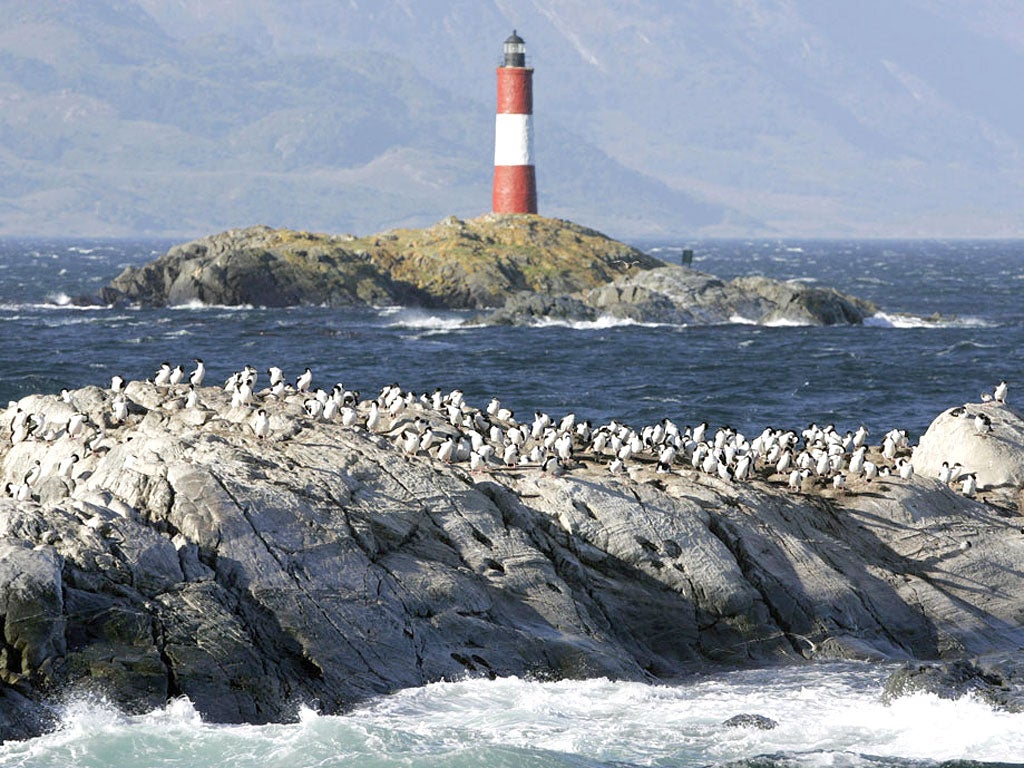 Cormorants on a small island close to the Les Ecleireurs lighthouse in the Beagle Channel