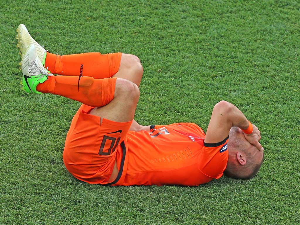Wesley Sneijder feels the pain after a shock defeat to Denmark