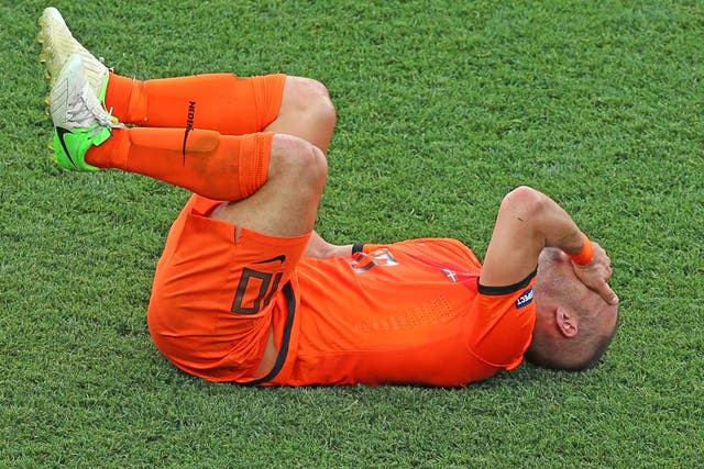 Wesley Sneijder feels the pain after a shock defeat to Denmark