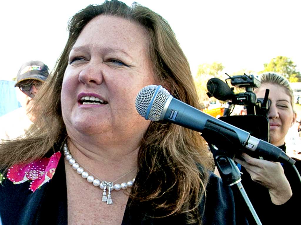 Gina Rinehart already owns a stake in a television network