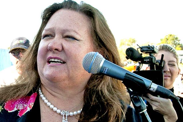 Gina Rinehart already owns a stake in a television network