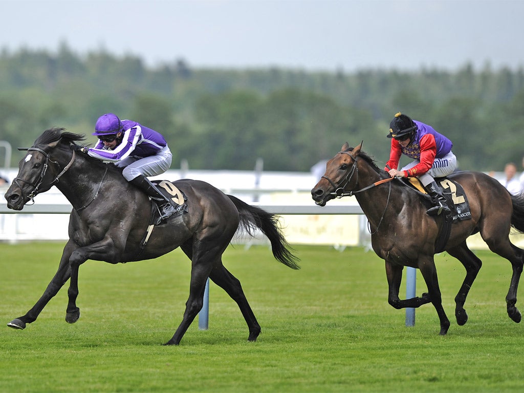 So You Think lands the Prince of Wales's Stakes from the Queen's Carlton House at Ascot yesterday