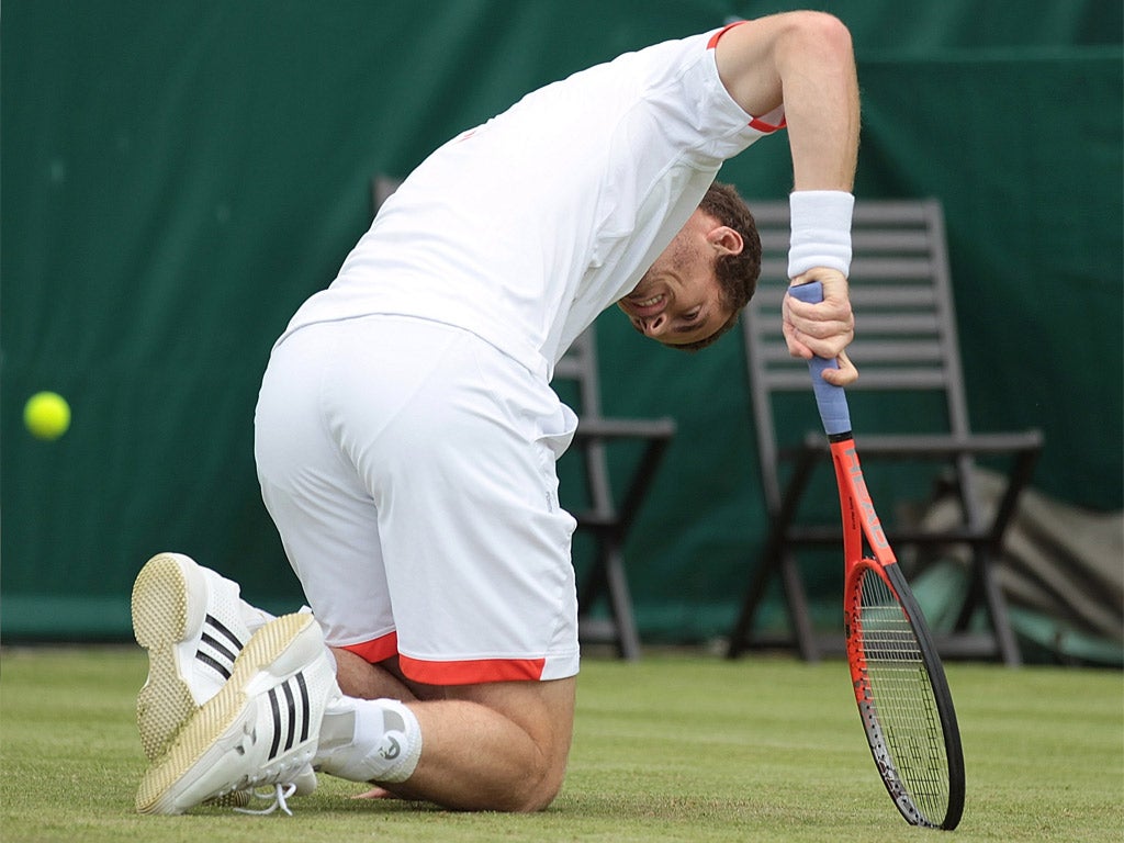 Andy Murray stumbles during his defeat at the hands of Janko Tipsarevic yesterday