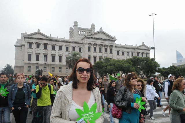 Marchers in
Montevideo
call for marijuana
to be legalised
earlier this year