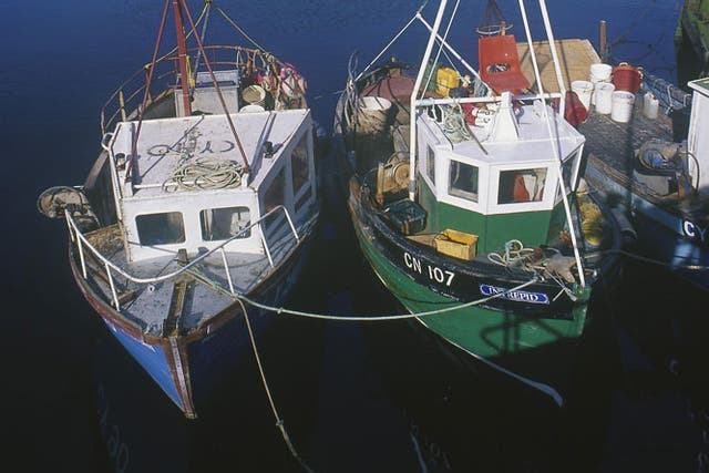 Hooked: Fishing boats in Ullapool
