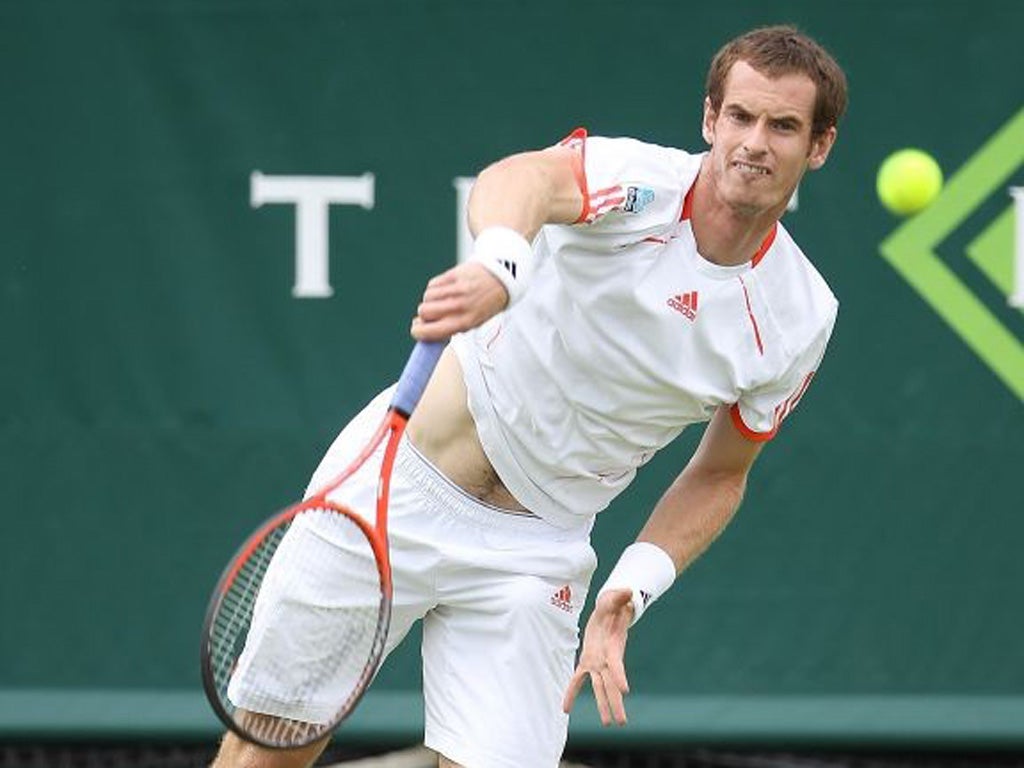 Andy Murray could take on four of the game's biggest servers at Wimbledon this year