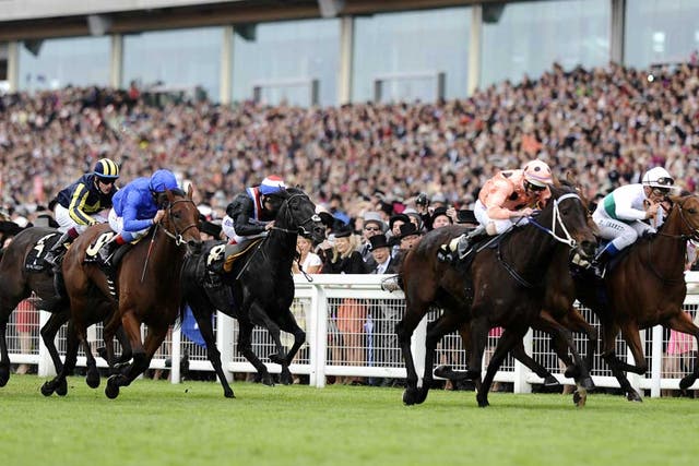 Pilot Error: Luke Nolen pushes Black Caviar (pink colours) all out for victory at Royal Ascot after earlier errors