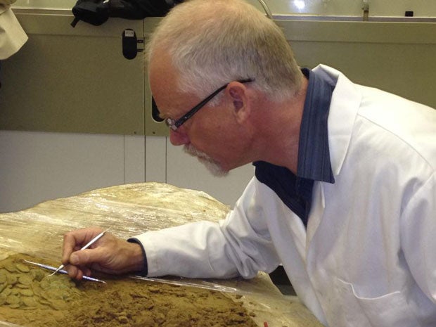 A massive hoard of Celtic coins worth millions of pounds has been found on the island of Jersey