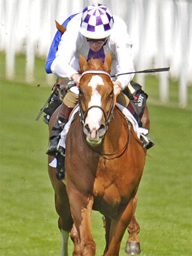 Dawn Approach, a son of New Approach, won at Royal Ascot