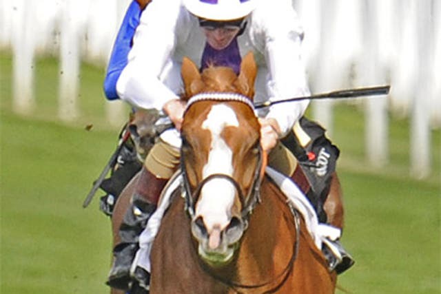 Dawn Approach, a son of New Approach, won at Royal Ascot