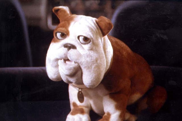 Ohhhh no! Churchill Insurance did not want to insure a bulldog as it was too old