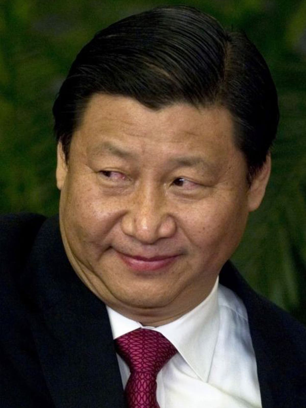 Family of China's next president said to have assets worth billions ...