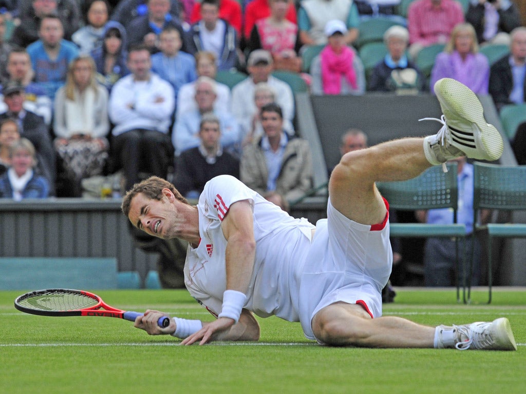 Andy Murray takes a tumble in his win over Marcos Baghdatis