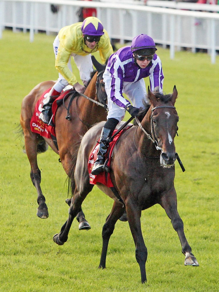 Camelot shows his courage in beating Born To Sea in the Irish Derby