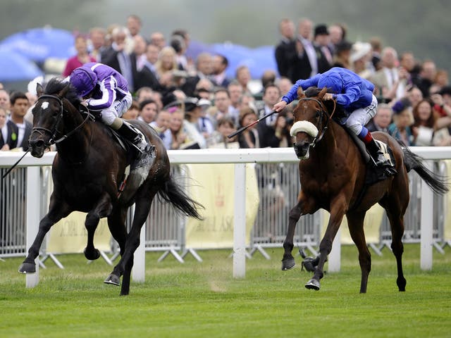 So You Think, who won at Royal Ascot, has been found lame