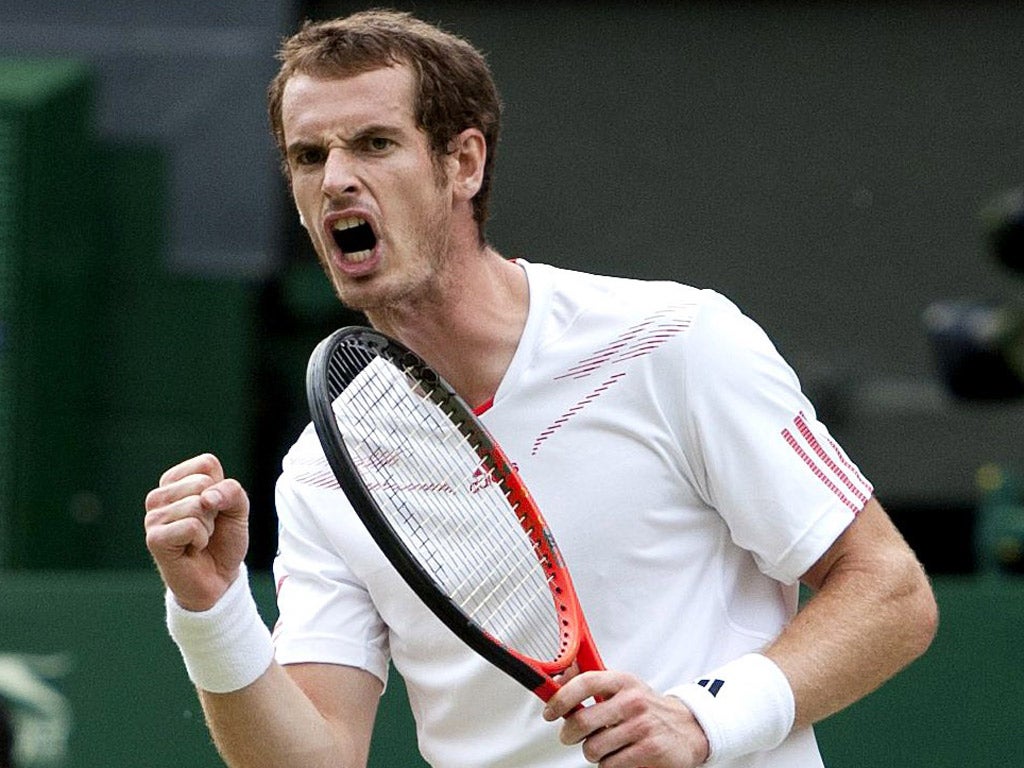 This could be Andy Murray's year