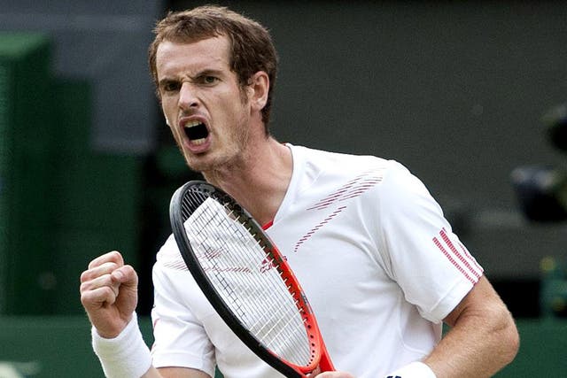 This could be Andy Murray's year