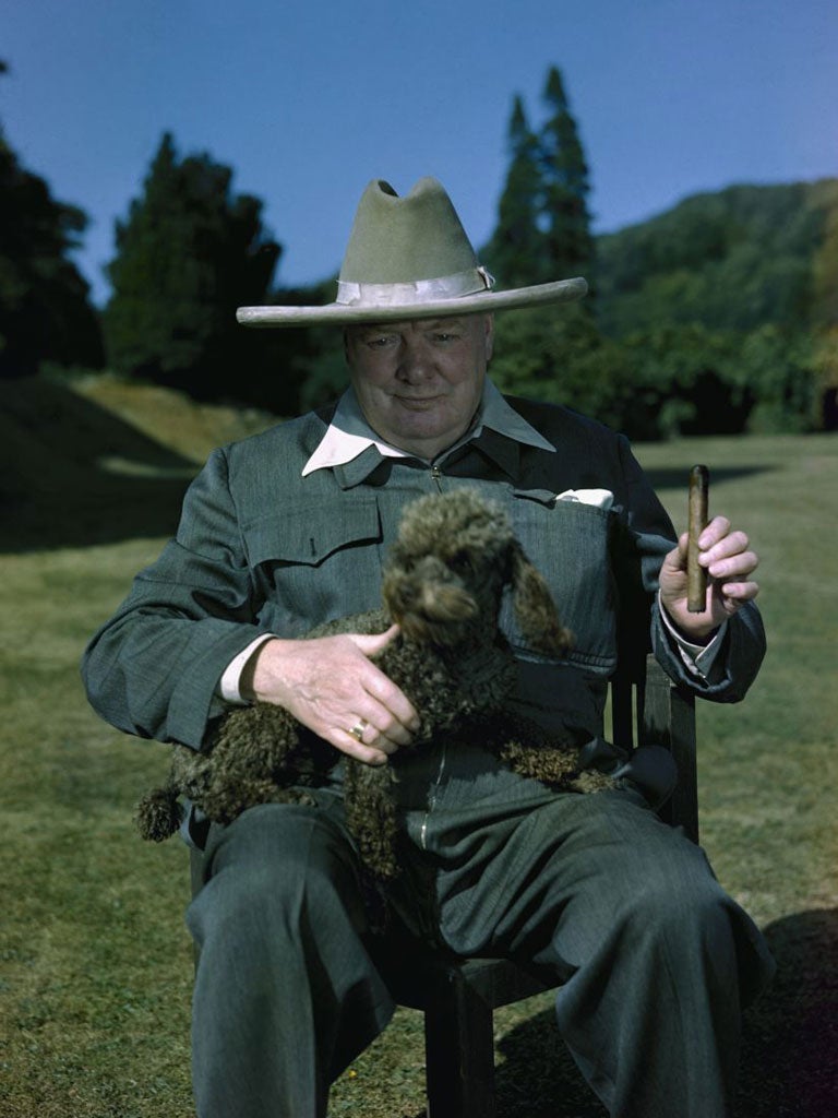 Subject: Sir Winston Churchill with his poodle, Rufus, relaxing at his Estate "Chartwell" near Westerham, Kent, England. 1949
Photographer- Hans Wild
Time Life Staff
Merlin-1150826