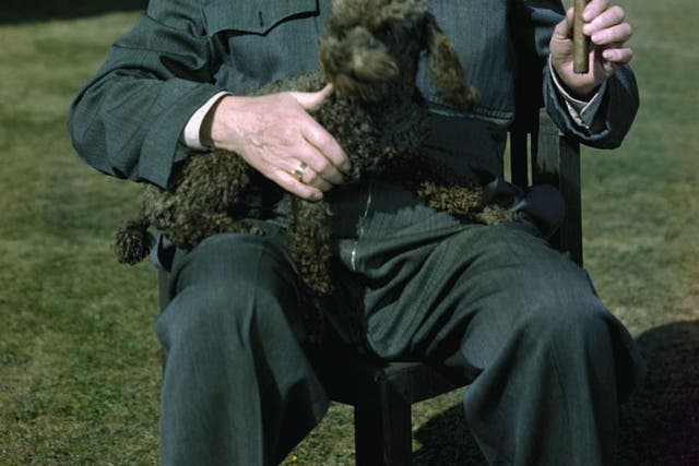 Subject: Sir Winston Churchill with his poodle, Rufus, relaxing at his Estate "Chartwell" near Westerham, Kent, England. 1949
Photographer- Hans Wild
Time Life Staff
Merlin-1150826