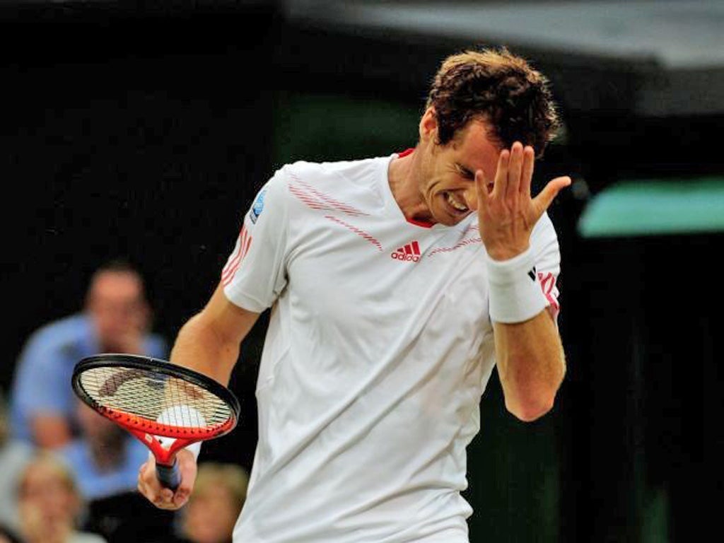 A frustrated Murray yesterday