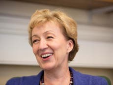 Andrea Leadsom is the underdog preparing to fight, but Conservatives need to hear more about her