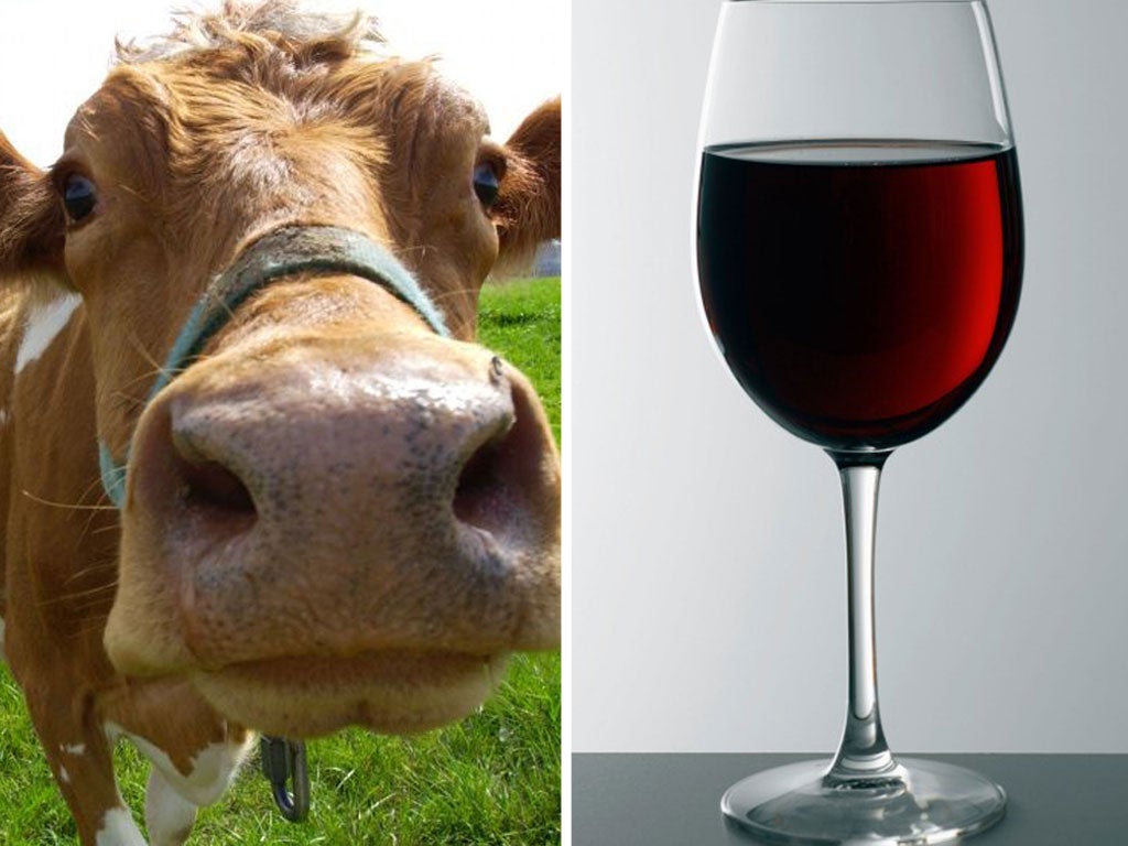 A farmer in the south of France says meat from cows fed with wine was ‘tasty’