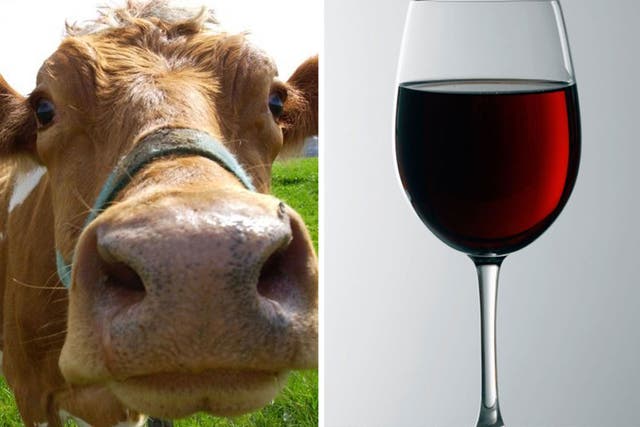 A farmer in the south of France says meat from cows fed with wine was ‘tasty’