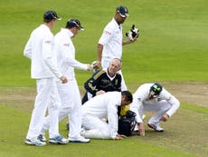 Other players who have been seriously injured in cricket
