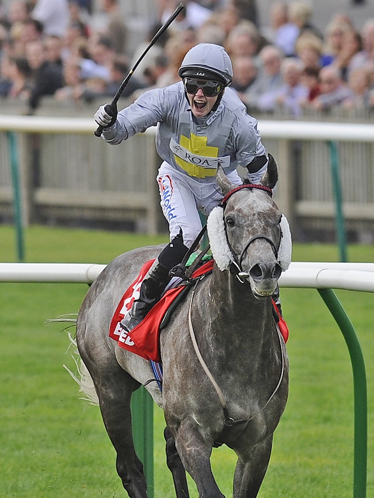 Prince Of Johanne caused an upset when winning the Hunt Cup at Royal Ascot last month