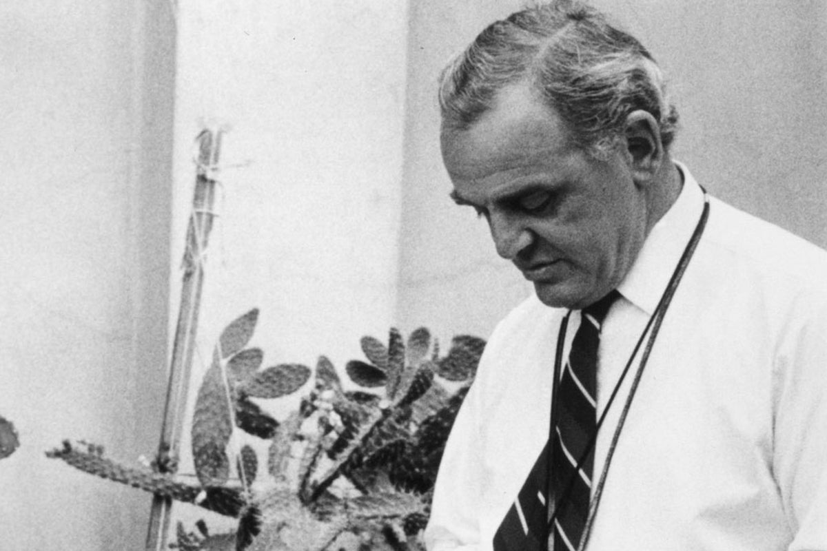 Christopher Challis: Cinematographer celebrated for his unforgettable ...
